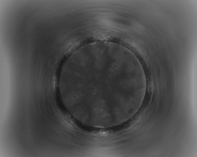 X0000088140647200705211136