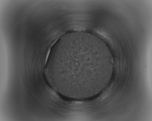 X0000088140649200705211137