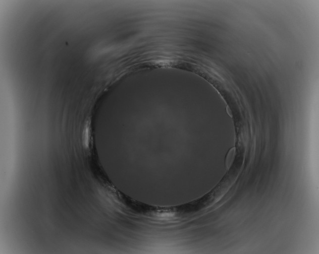 X0000088140651200705211137