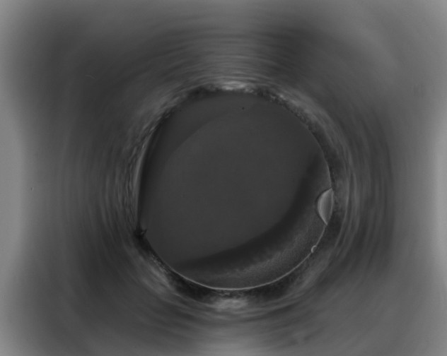 X0000088140653200705211137
