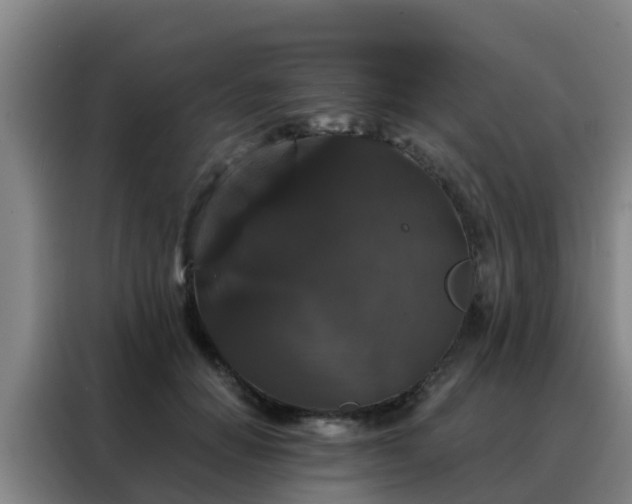 X0000088140654200705211137
