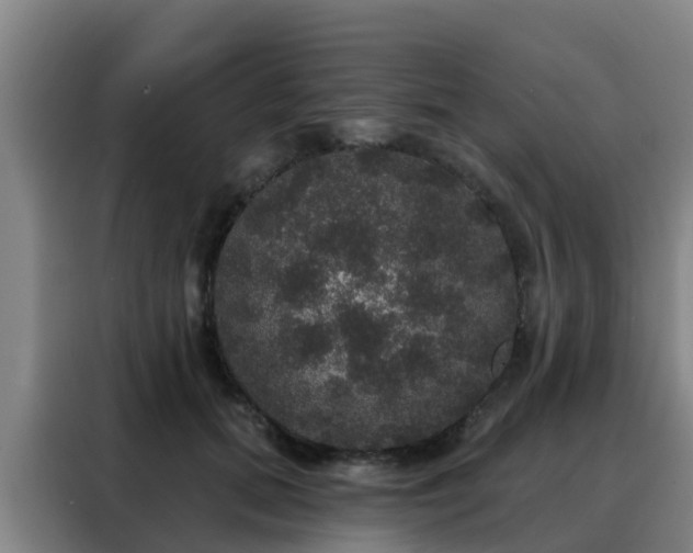 X0000088140655200705211137