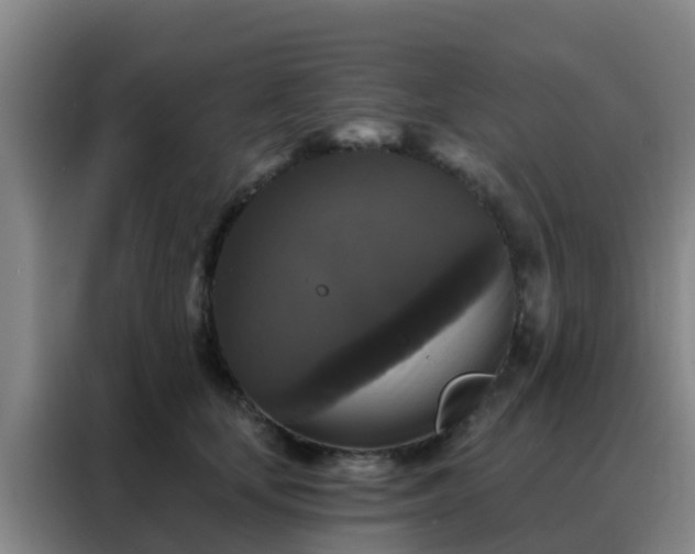 X0000088140659200705211137