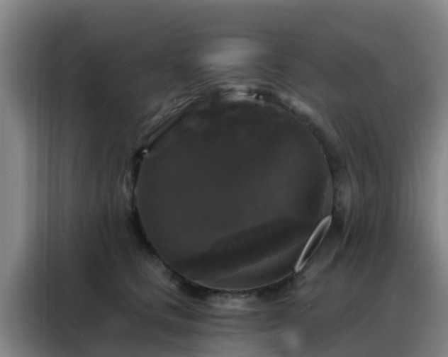 X0000088140661200705211137