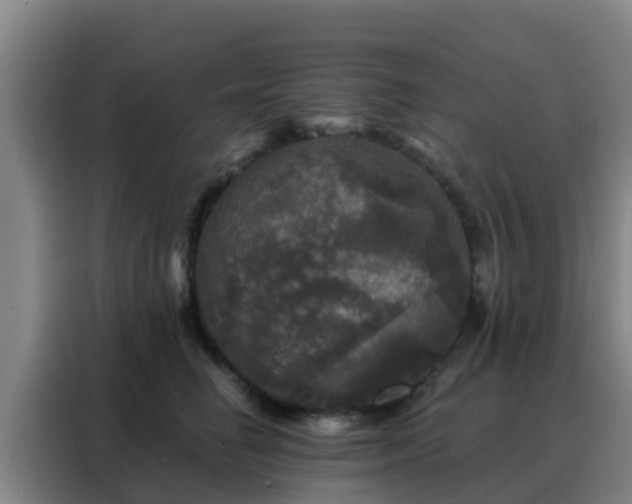 X0000088140662200705211137