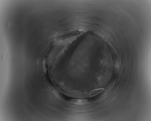 X0000088140663200705211137