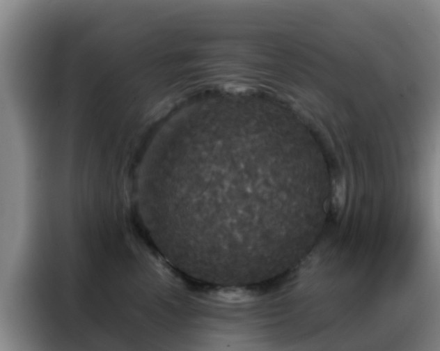X0000088140666200705211137