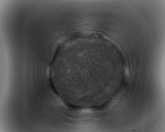 X0000088140668200705211137