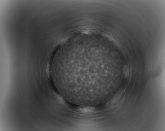X0000088140670200705211137