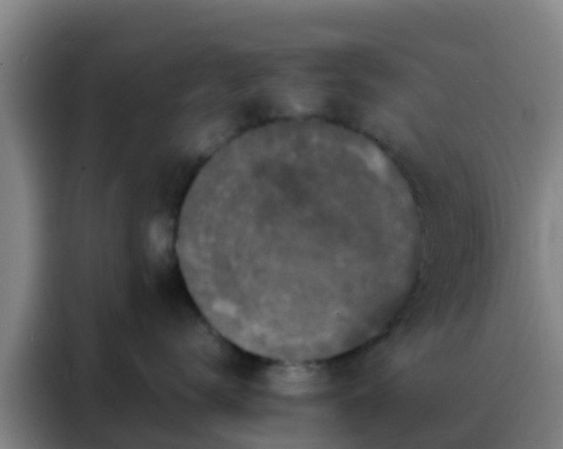 X0000088140672200705211137