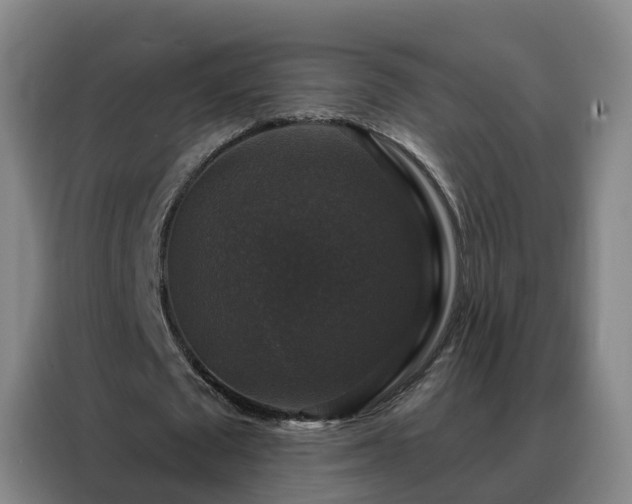 X0000088140673200705211136