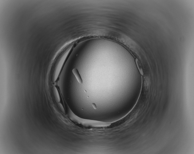 X0000088140676200705211136
