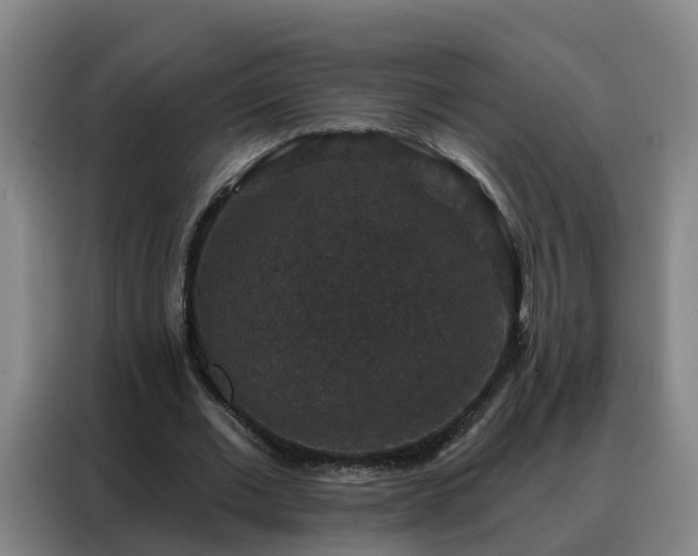 X0000088140677200705211136