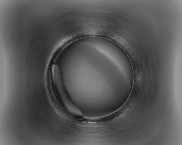 X0000088140678200705211136