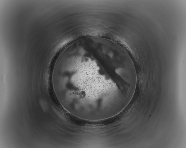 X0000088140679200705211136