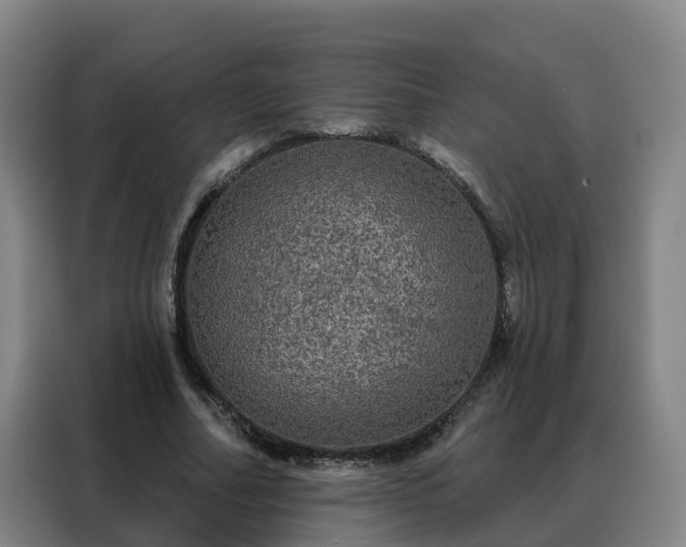 X0000088140682200705211136