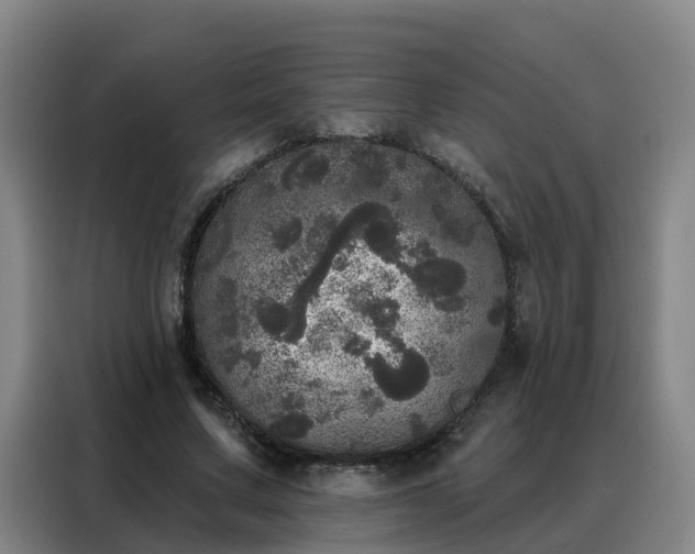 X0000088140683200705211136