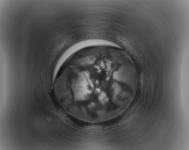 X0000088140691200705211136