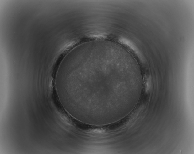 X0000088140692200705211136