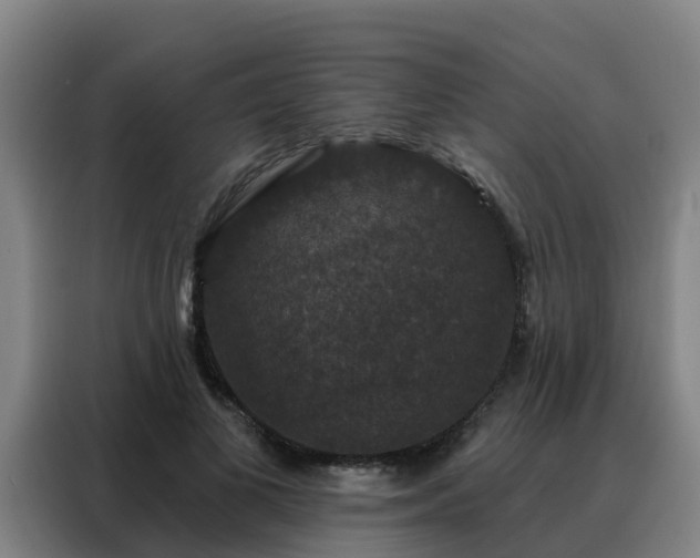 X0000088140693200705211136