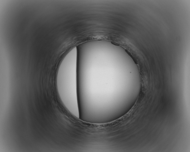 X0000088140696200705211136