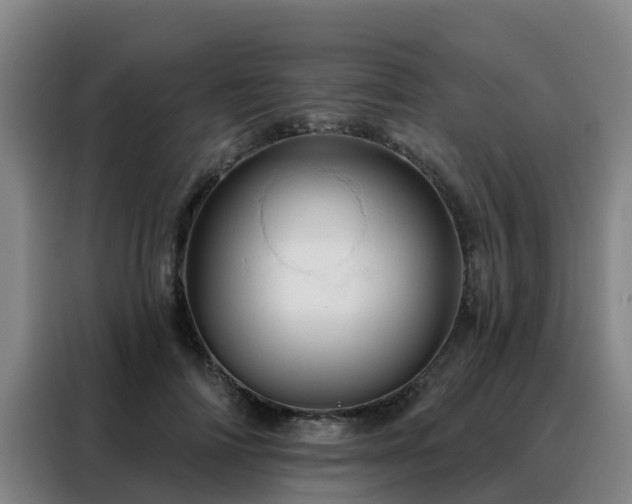X0000088140698200705211136