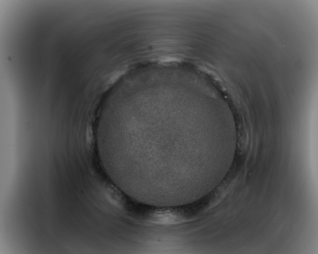 X0000088140704200705211136