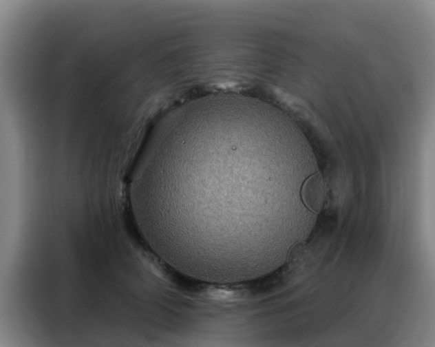 X0000088140706200705211136