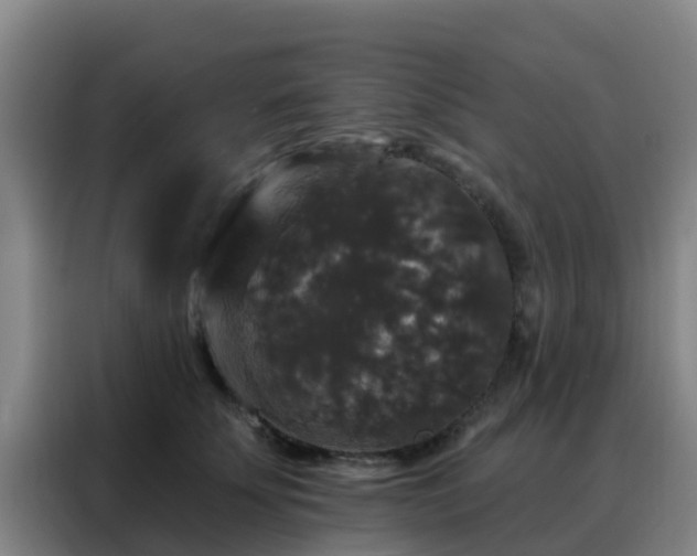 X0000088140707200705211136
