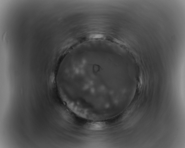 X0000088140711200705211136