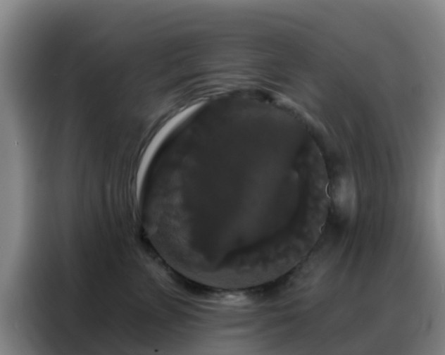 X0000088140715200705211136