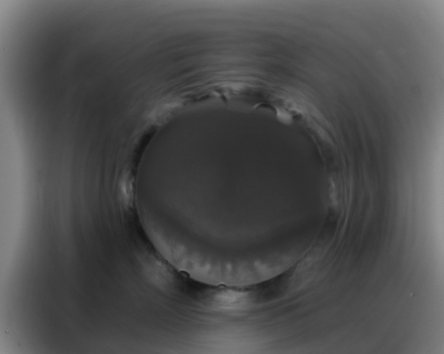 X0000088140718200705211136