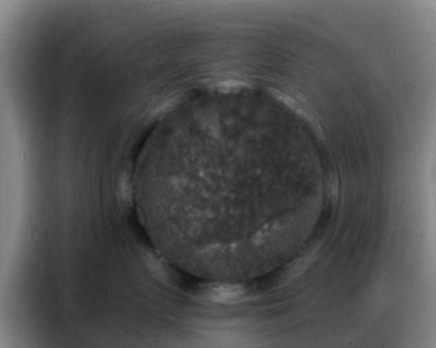 X0000088140719200705211136