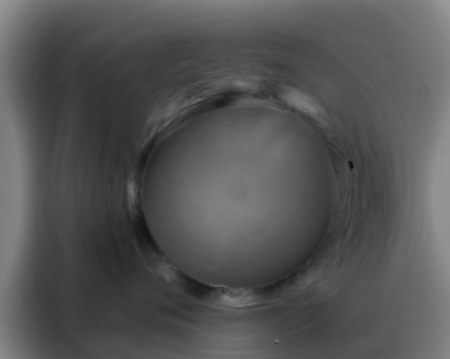 X0000088140720200705211136