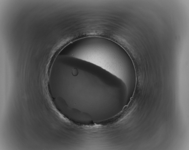 X0000088140721200705211135