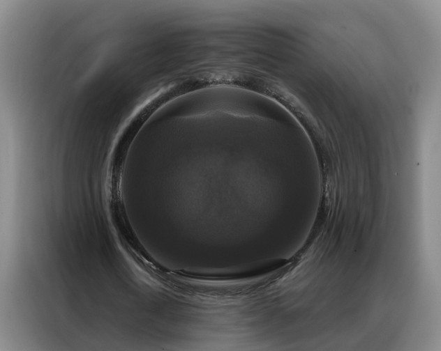 X0000088140722200705211135