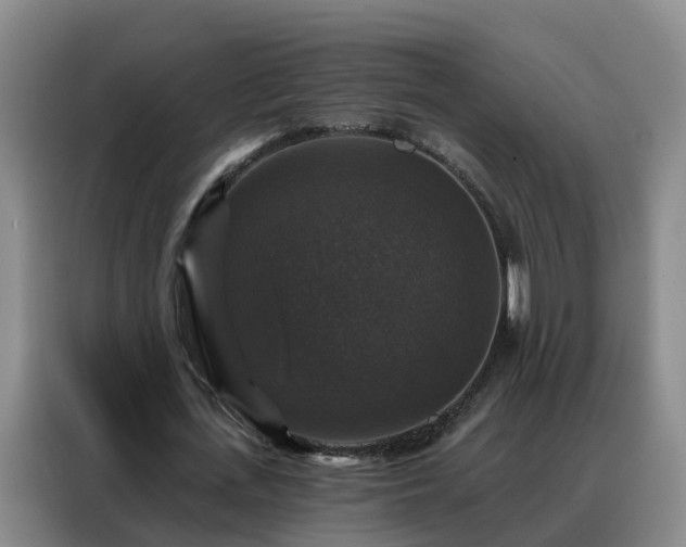 X0000088140723200705211135