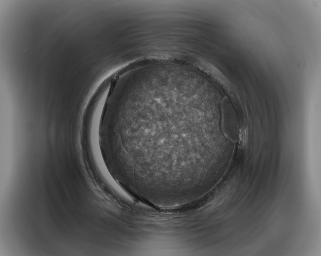 X0000088140724200705211135
