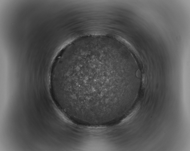 X0000088140725200705211135