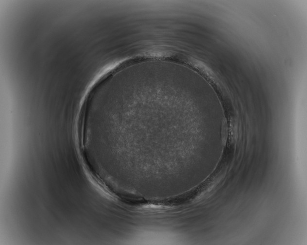 X0000088140726200705211135