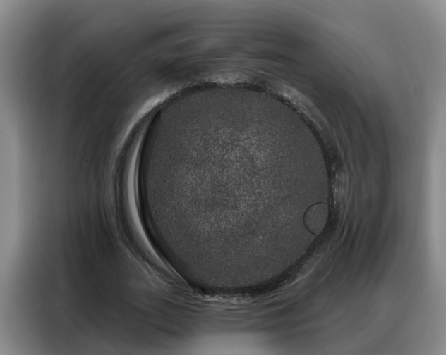X0000088140727200705211135