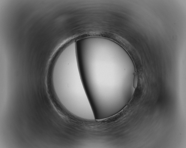 X0000088140728200705211135