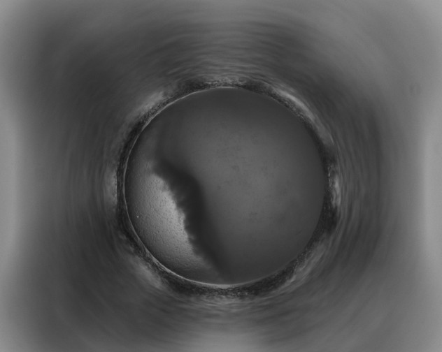 X0000088140729200705211135
