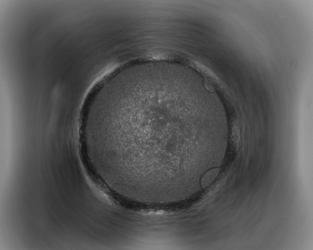 X0000088140730200705211135
