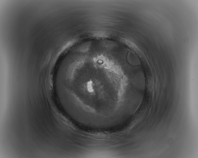 X0000088140731200705211135