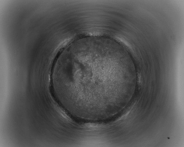 X0000088140733200705211135