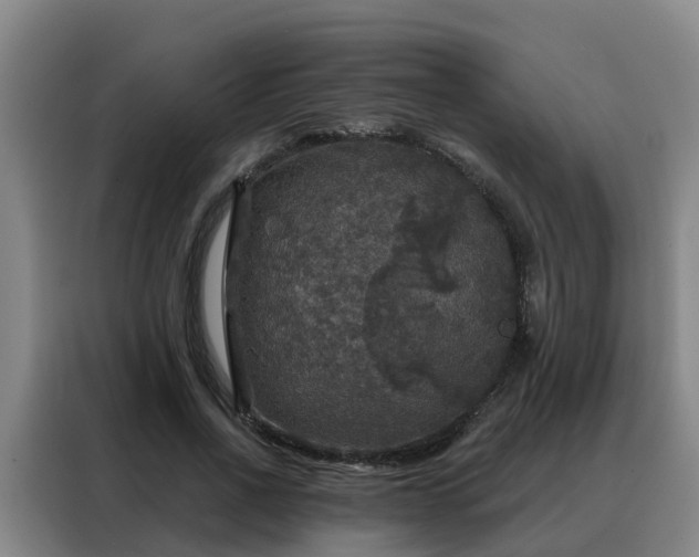 X0000088140734200705211135