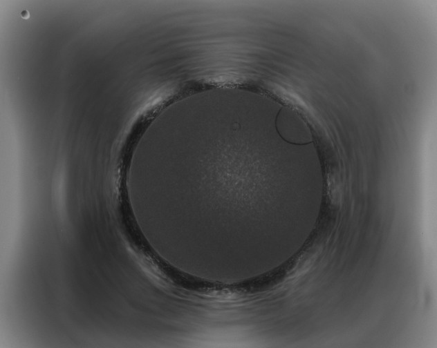 X0000088140735200705211135