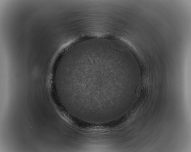 X0000088140736200705211135
