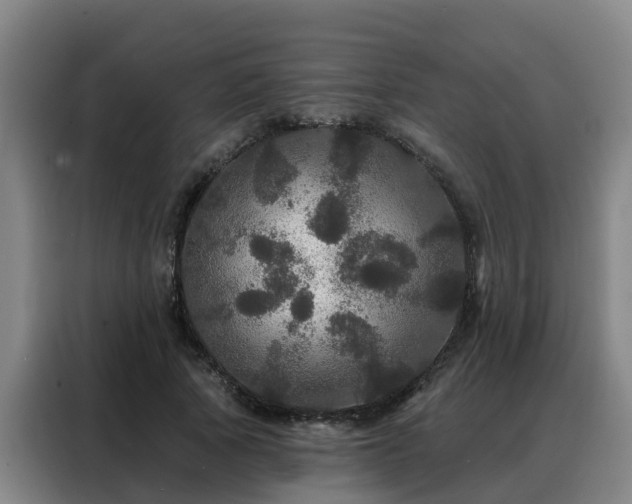 X0000088140737200705211135